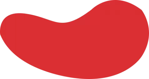 九游体育(OFFICIAL)官网-APP下载